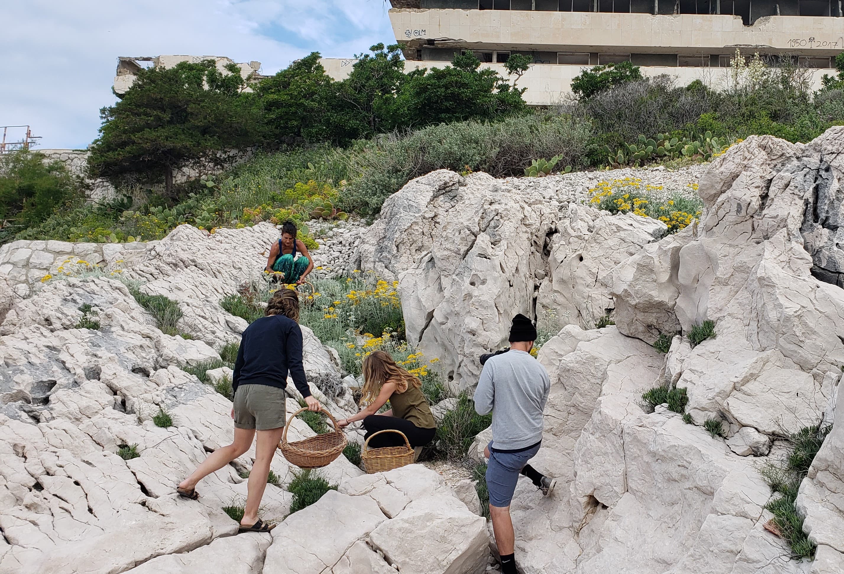 Foraging along the Adriatic coast
