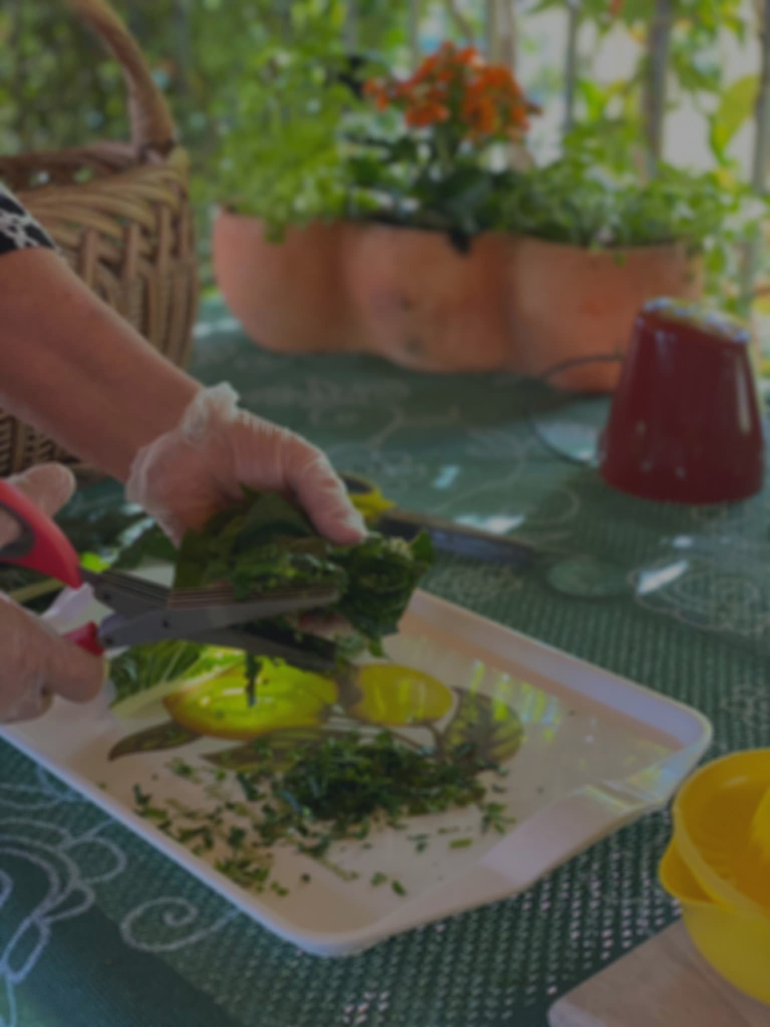 Pesto & Plating