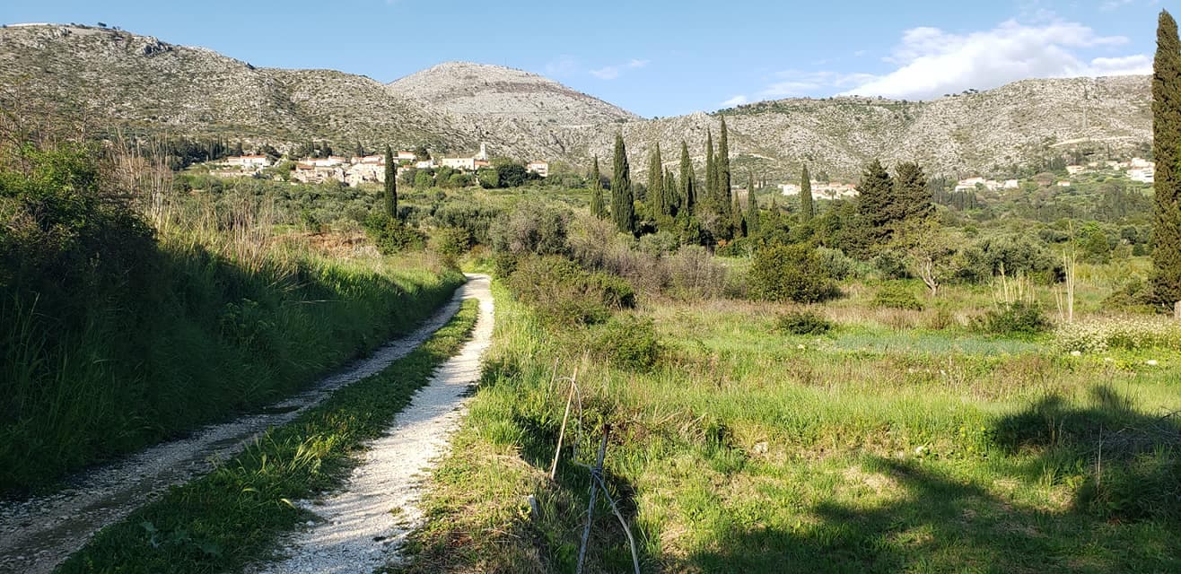 The road to Bejnopolje