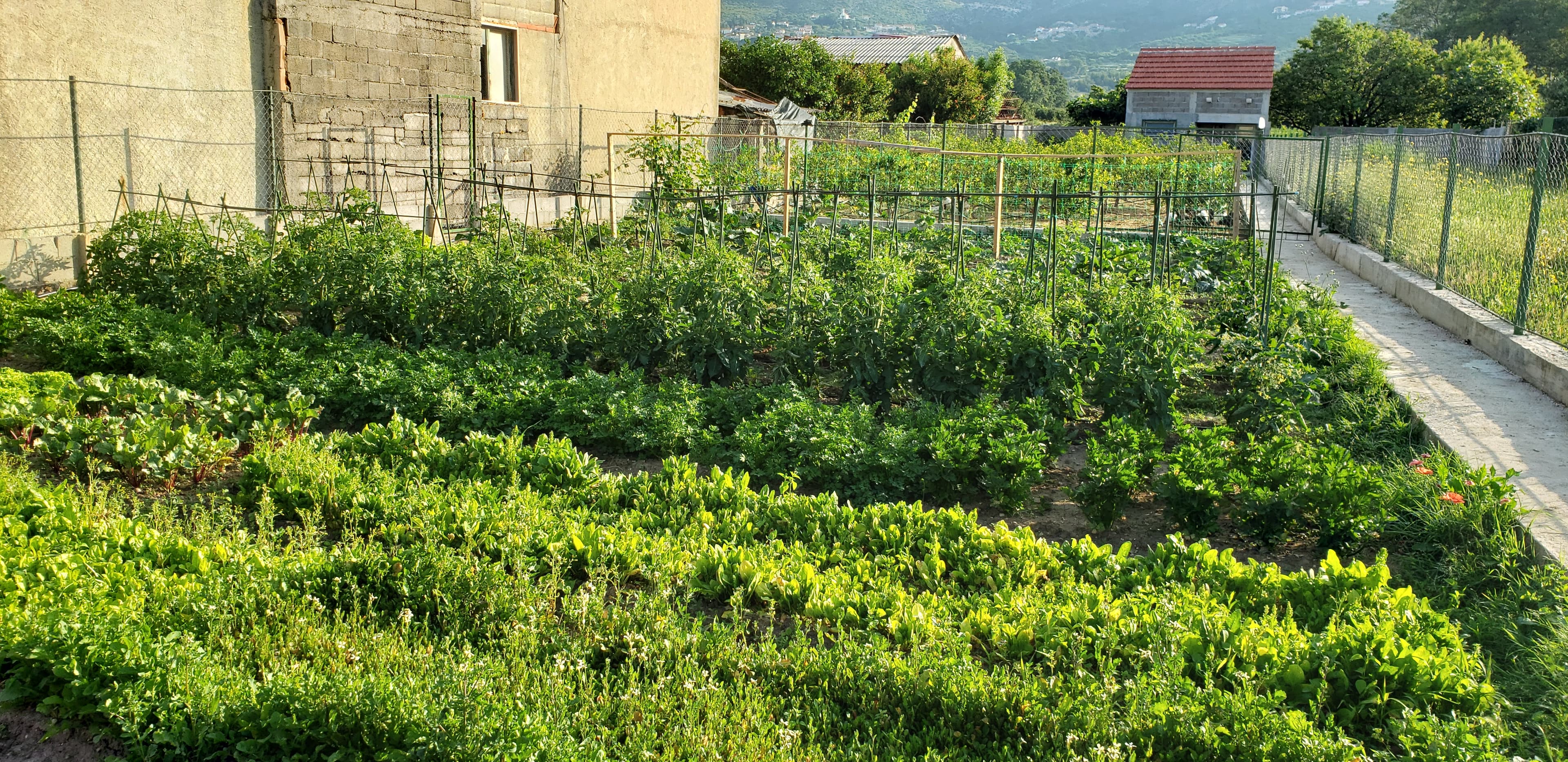 Župa Valley, Dubrovnik