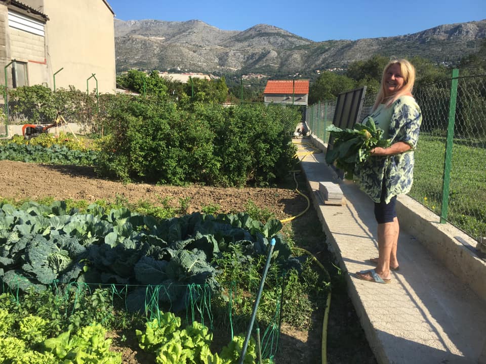 Life at Mikki's Croatian Kitchen